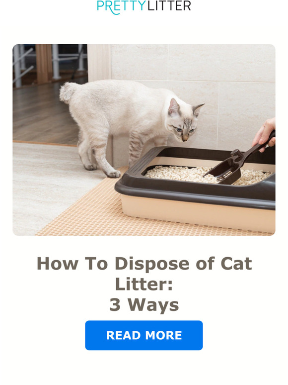 Pretty Litter Cat Litter Disposal Made Easy Milled
