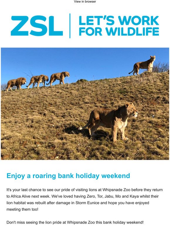 Enjoy the May bank holiday at the Zoo