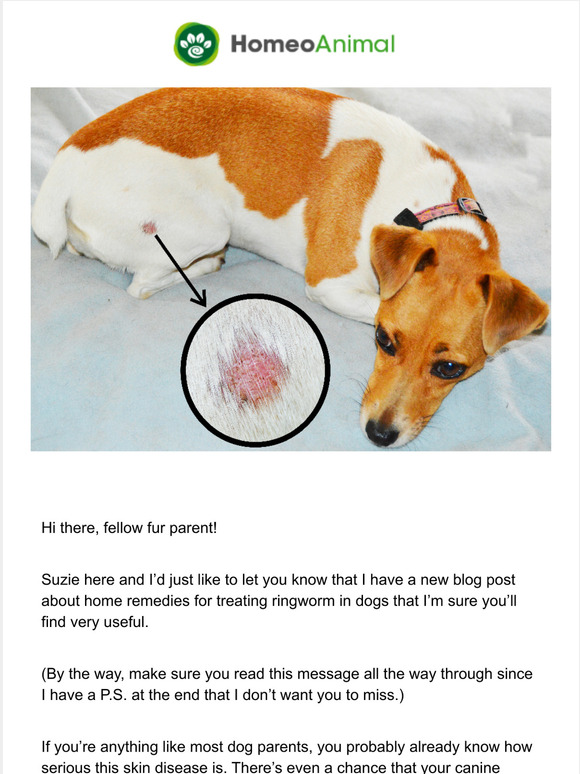 Your ultimate guide to ringworm and the home remedies