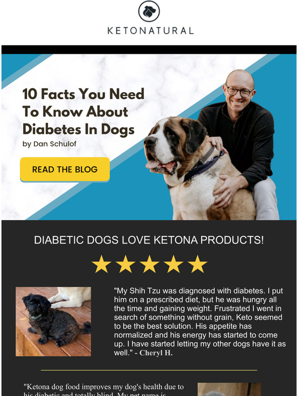 KetoNatural Pet Foods, Inc. 10 Facts About Dog Diabetes You Need to Know Milled