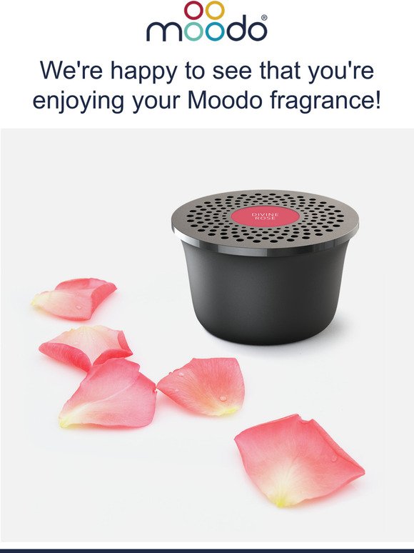 Keep the Spring smell in the Air with Moodo
