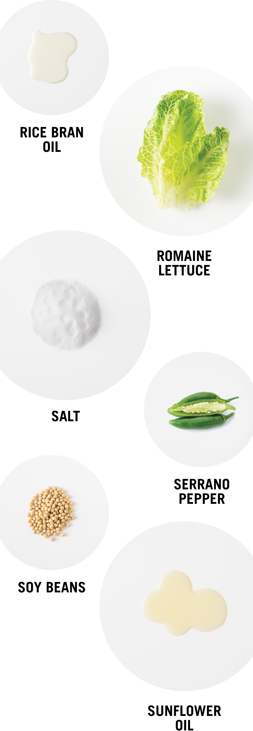 Chipotle — Ingredients List