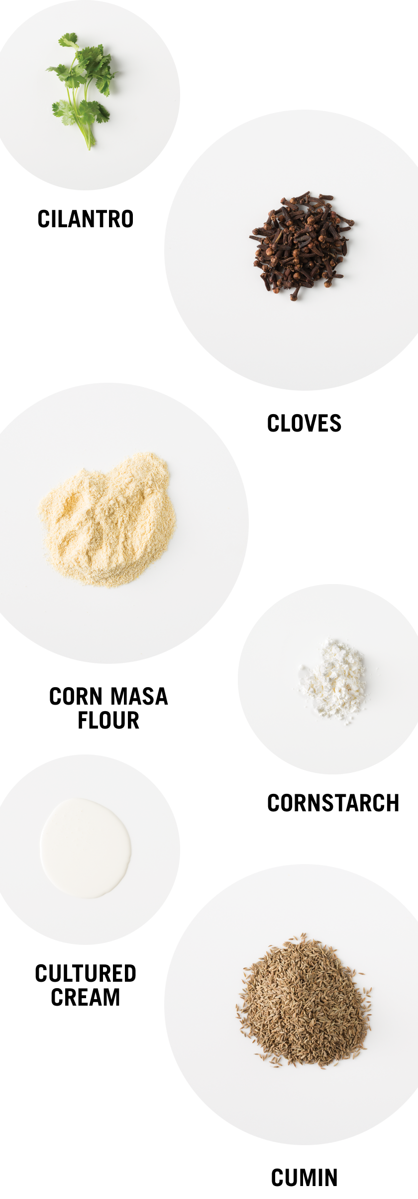 Cilantro - Cloves - Corn Masa Flour - Cornstarch - Cultured Cream - Cumin