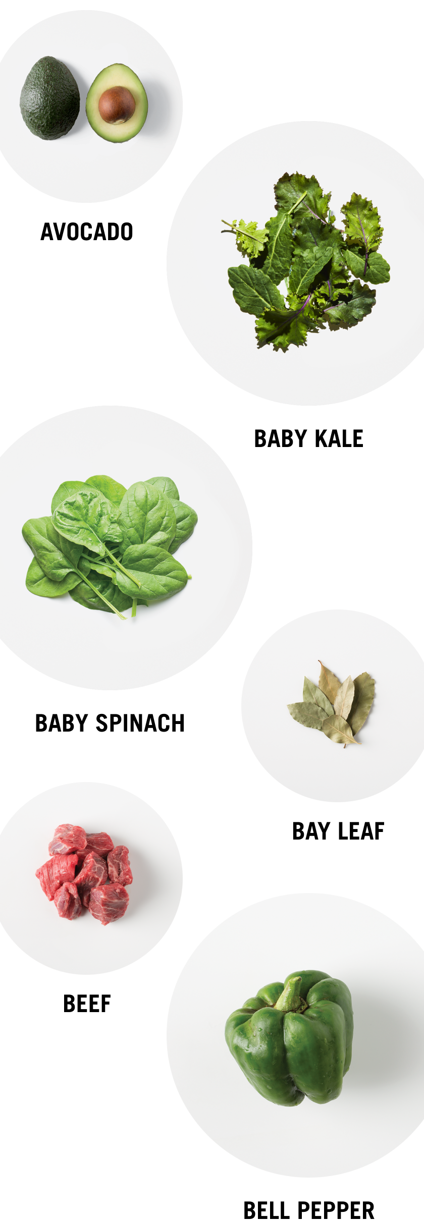 Avocado - Baby Kale - Baby Spinach - Bay Leaf - Beef - Bell Pepper