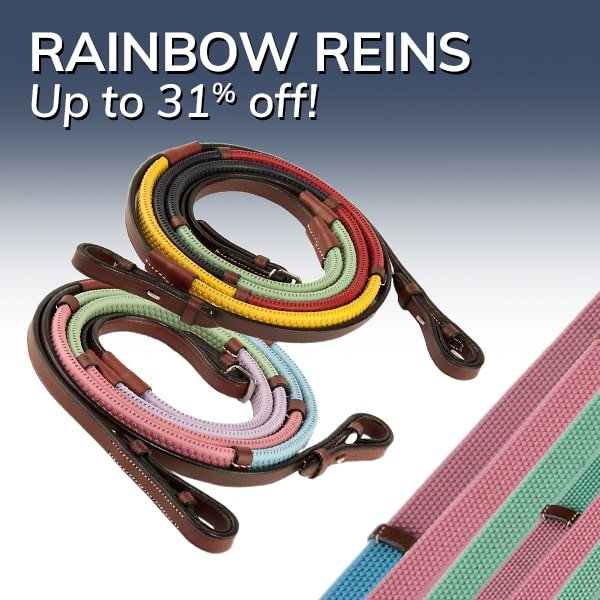 Rainbow Reins