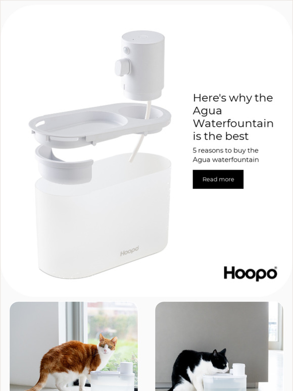 5 reasons to buy the Agua Waterfountain