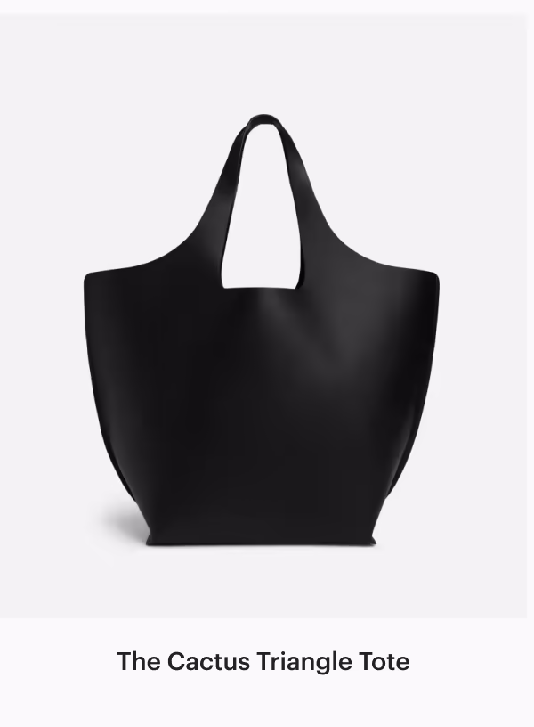 The Cactus Triangle Tote