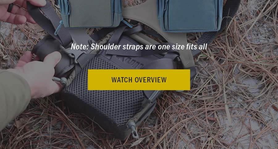 Watch Overview