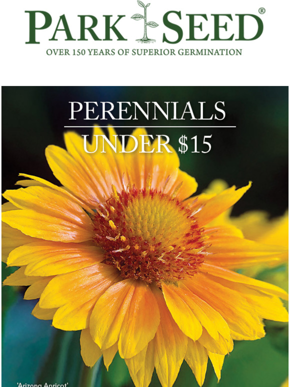 Add Stunning Perennial Plants to Your Garden for Less