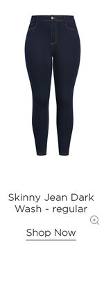 Shop the Skinny Jean Dark Wash