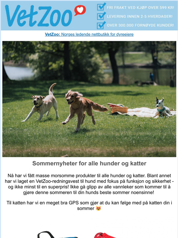 Sommernyheter for alle hunder och katter 
