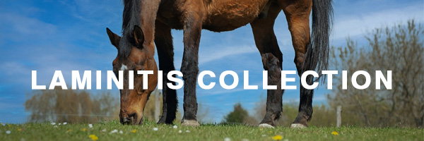 Laminitis Collection