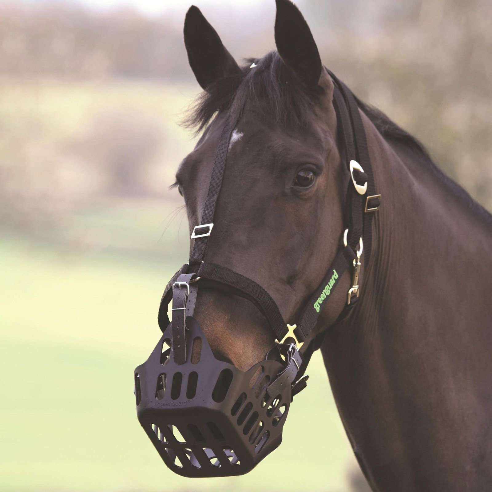 Image of Shires Greenguard Muzzle