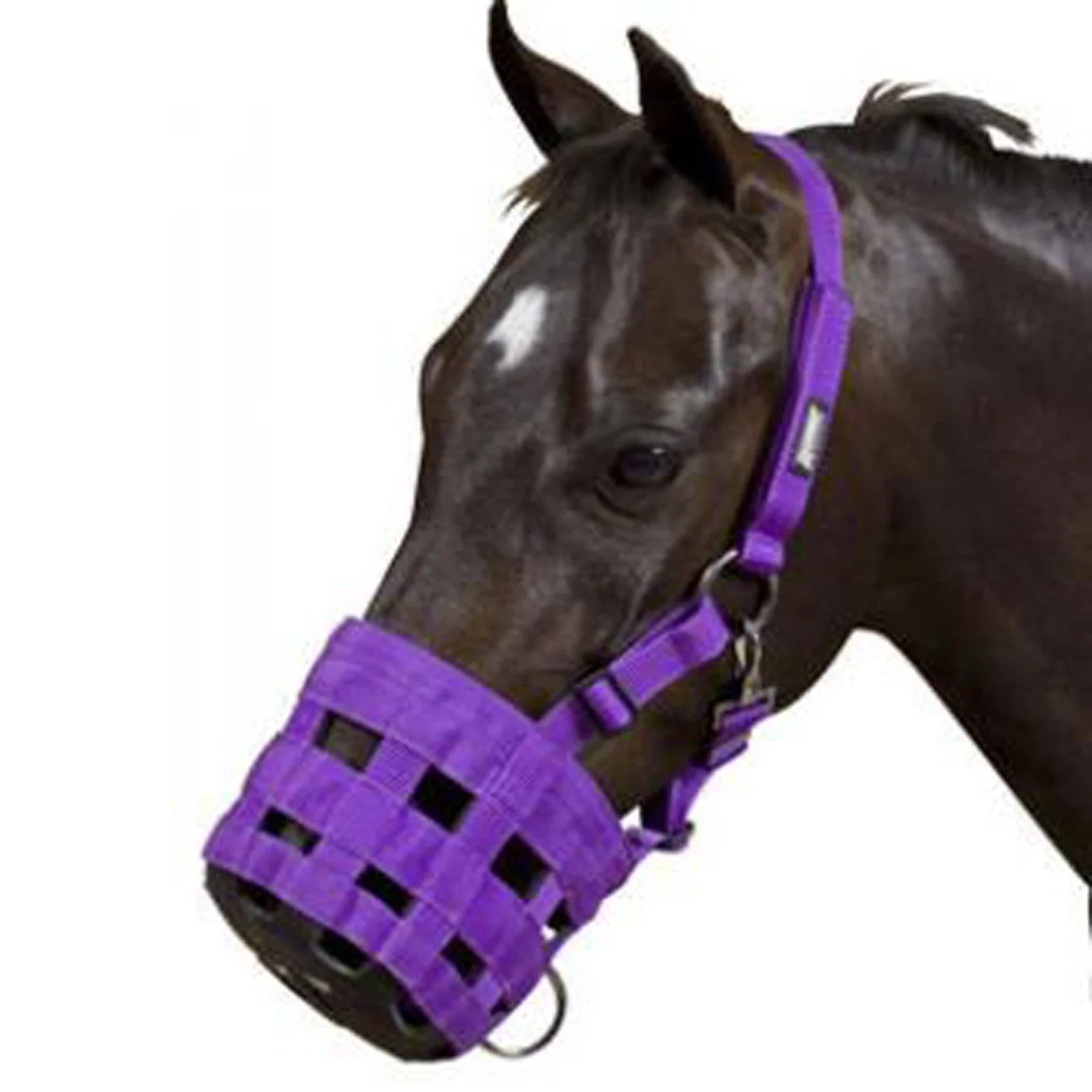 Image of Roma Grazing Muzzle