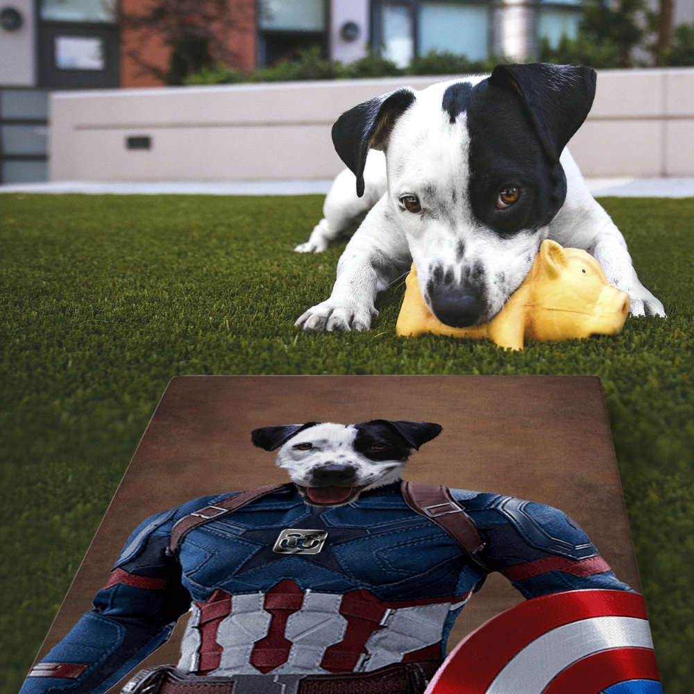 Image of Captain America - Custom Pet Portrait