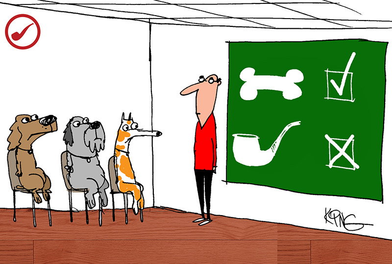 Comic by Jerry King