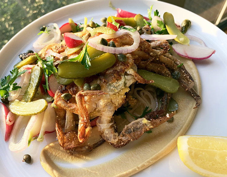 soft shell crabs