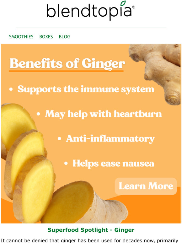 Blendtopia Ginger The Superfood You Need to Know About Milled