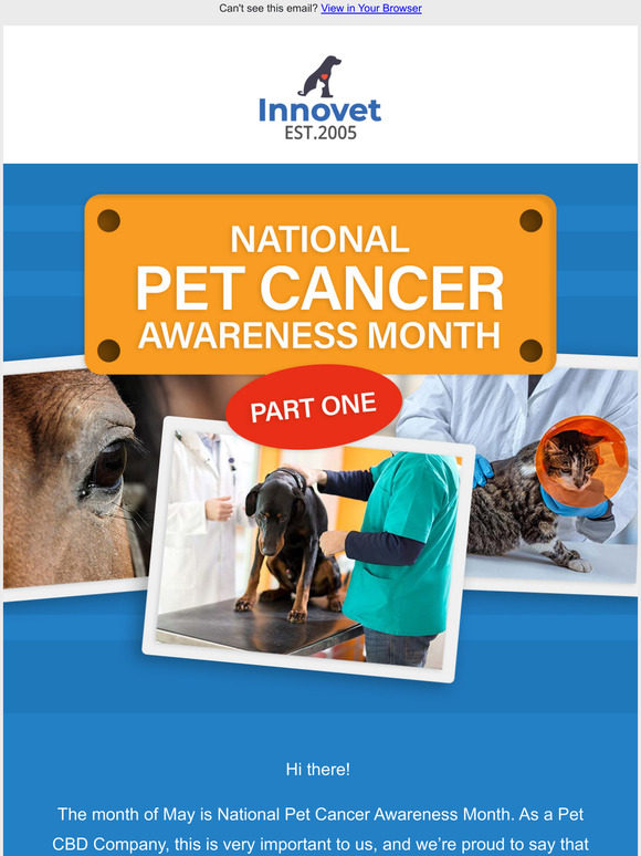 National Pet Cancer Awareness Month