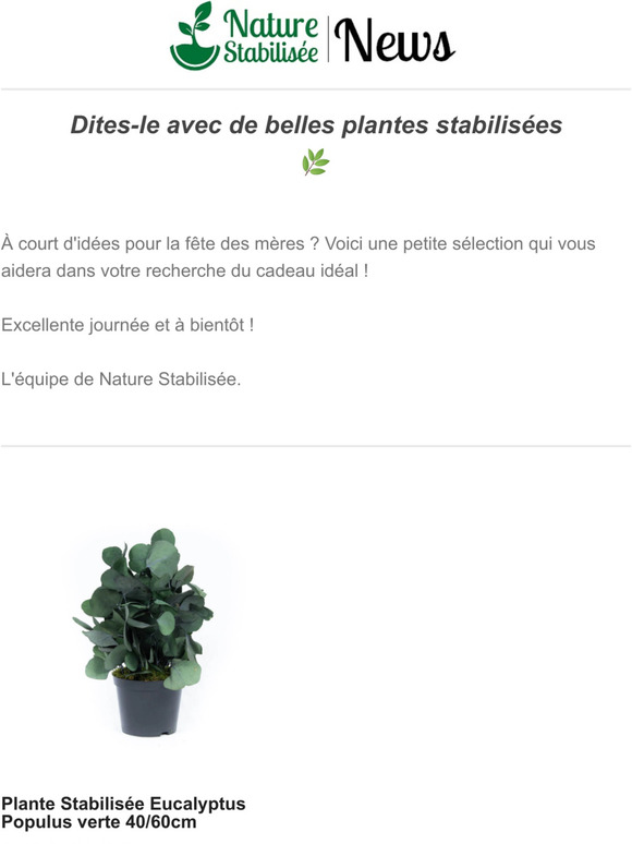  Le 29 mai, c'est la fte des mres J-19