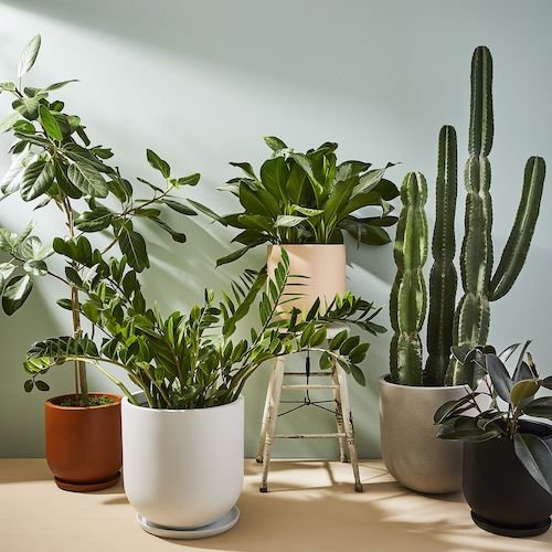 Large Modern Minimalist Indoor & Outdoor Planters