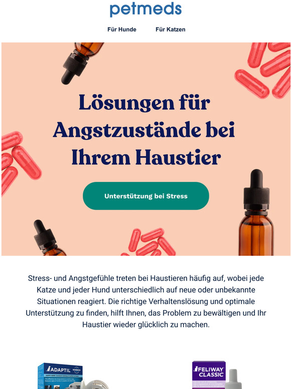 Umgang mit Angstzustnden bei Haustieren