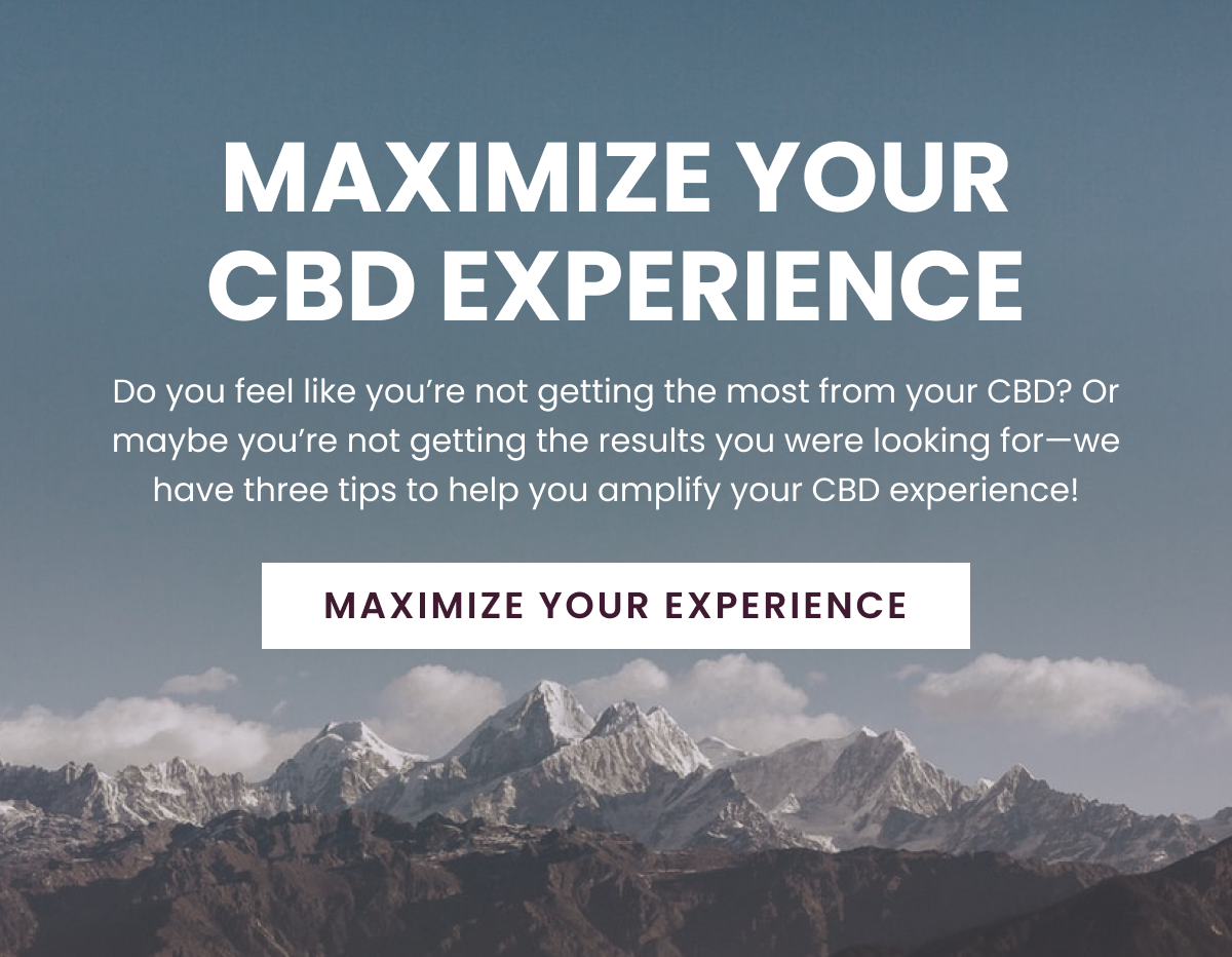 Maximize Your CBD Experience