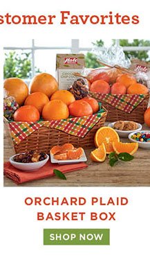 Orchard Plaid Basket Box