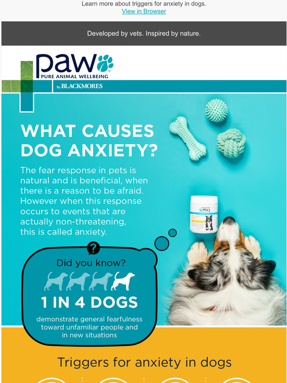 blackmores What causes anxiety in dogs? Milled