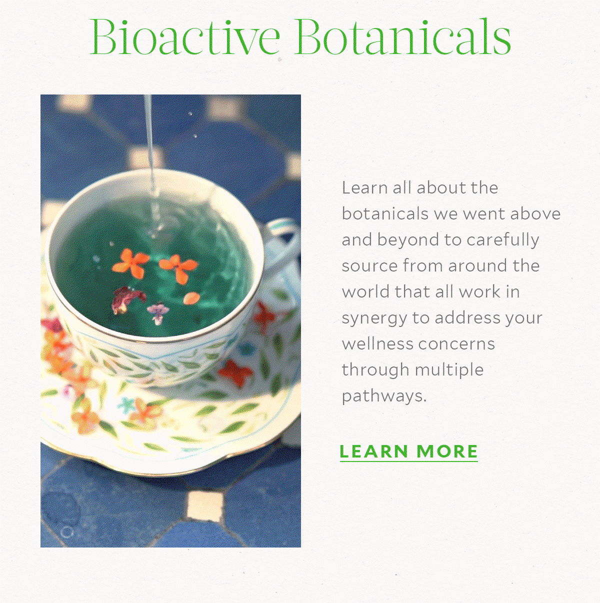 Bioactive Botanicals