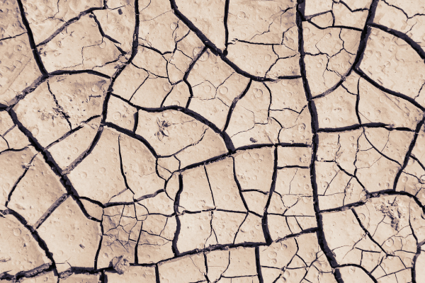 Dry Mouth and Bad breath