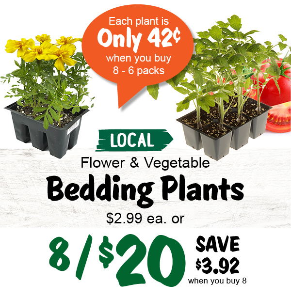 Stew Leonard's Gifts Local Hanging Baskets, Annuals and More! Milled