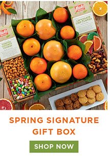 Spring Signature Gift Box