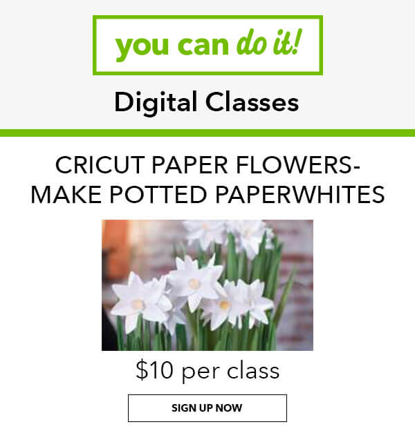  You can do it! Digital Classes. Cricut paper flowers make potted paperwhites. $10 per class. SIGN UP NOW.