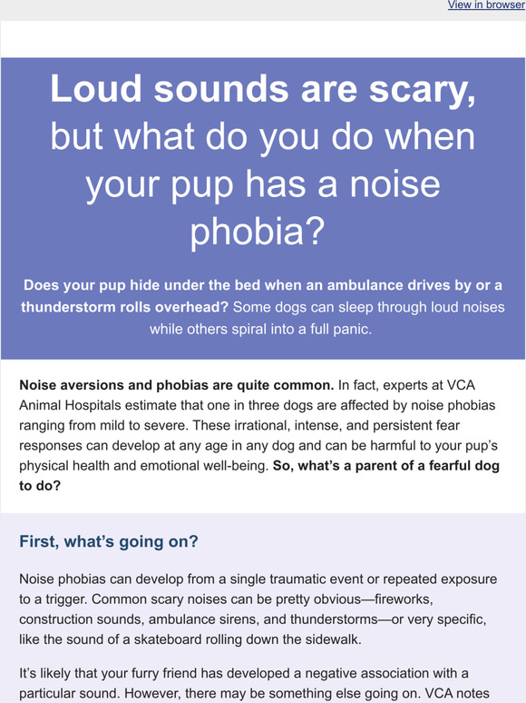 ellevetsciences Loud sounds turning your happy hound into a scaredy