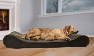 Furhaven Memory Foam Orthopedic Contoured Pet Lounger Dog Bed