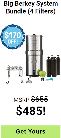 Big Berkey System Bundle (4 Filters)