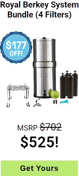 Royal Berkey System Bundle (4 Filters)