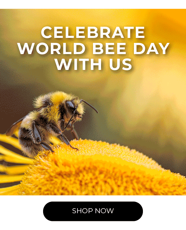 Party Lite Save Up To 35 Off At Our Backyard Garden Event Milled