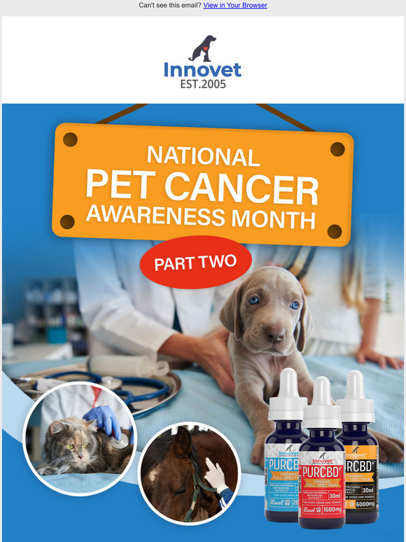 Pet Cancer Awareness Month - Part II