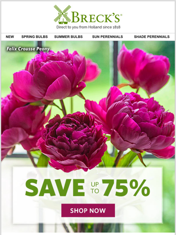 Breck's Plant peonies your descendants will cherish! Milled