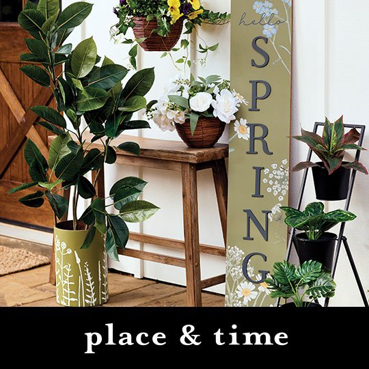 Place and Time. Greenhouse Garden and Outdoor Decor.