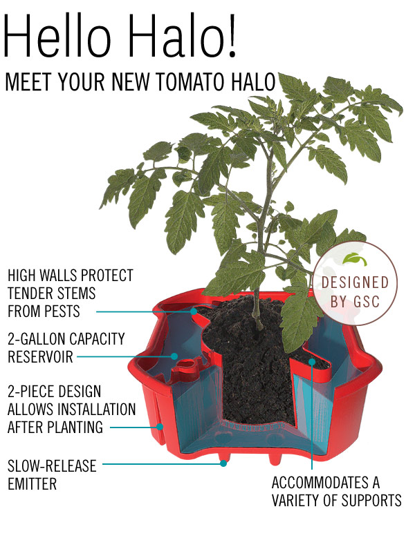 Gardener's Supply Company Meet the Deluxe Tomato Halo! Milled