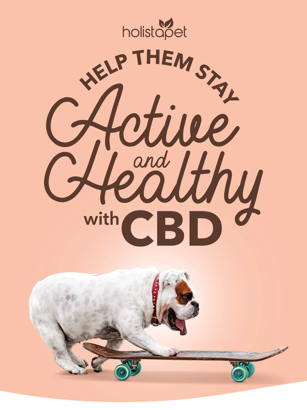 CBD Favorites that chill out your pup