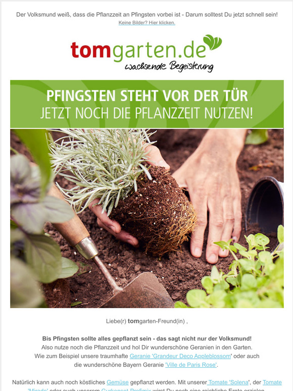 TOM GARTEN ProfiSaatgut und Pflanzenversand Pfingsten steht vor der