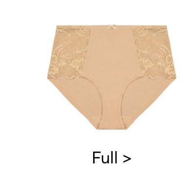 Full Brief