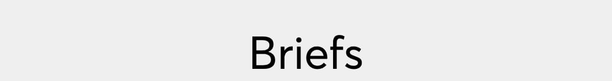 Brief