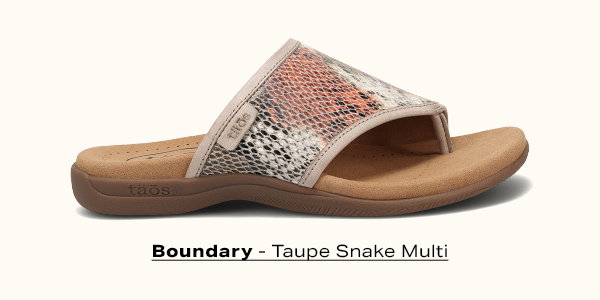 Boundary Taupe Snake Multi