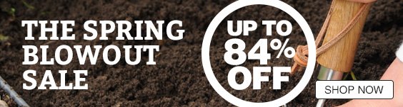 Spring Blowout Sale - Up to 84% off