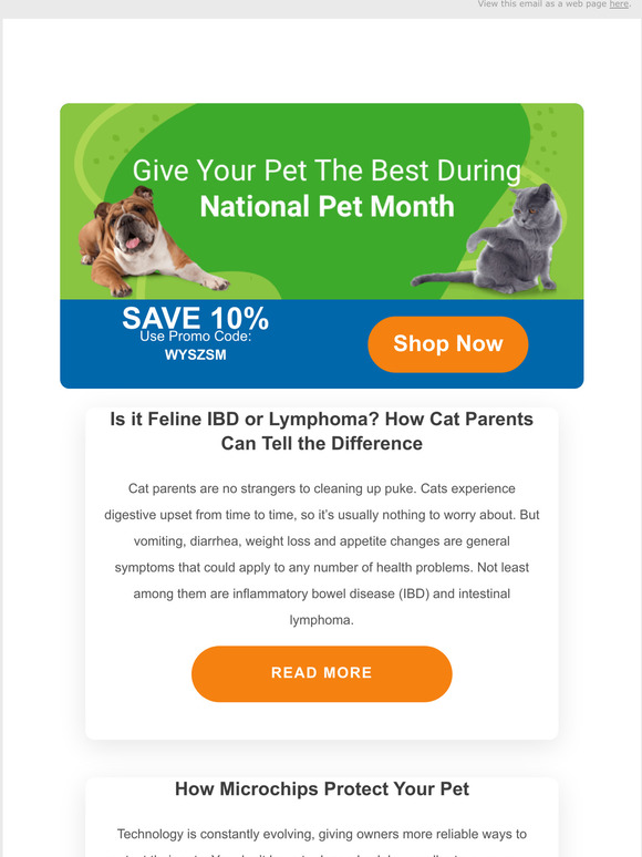 Pet Wellbeing Inc. Is it Feline IBD or Lymphoma? How Cat Parents Can